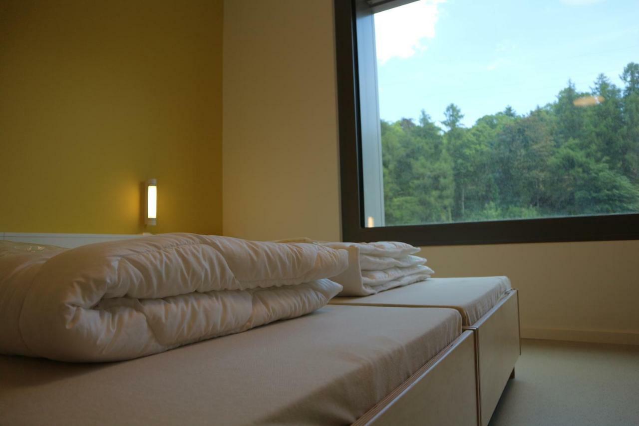 Albergue Youth Esch/alzette Esch-sur-Alzette